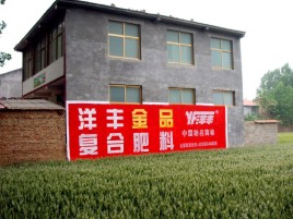 河口如何让墙体广告展现最大化效果