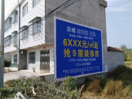 河口墙体广告质量分析