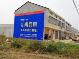 河口农村墙体广告在不同形式上面展现的不同特色