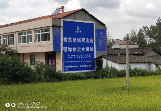 河口决定墙体广告价格的因素有哪些?