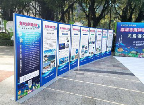 河口KT板的种类和知识。